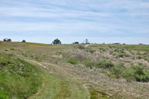 RainDance 18th Tips